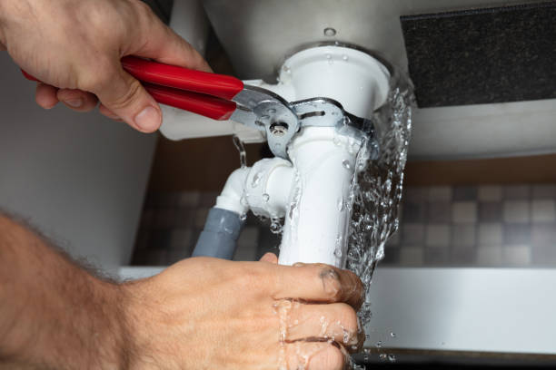 Best Professional water damage repair  in Medina, MN