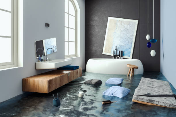 Best Professional water damage repair  in Medina, MN