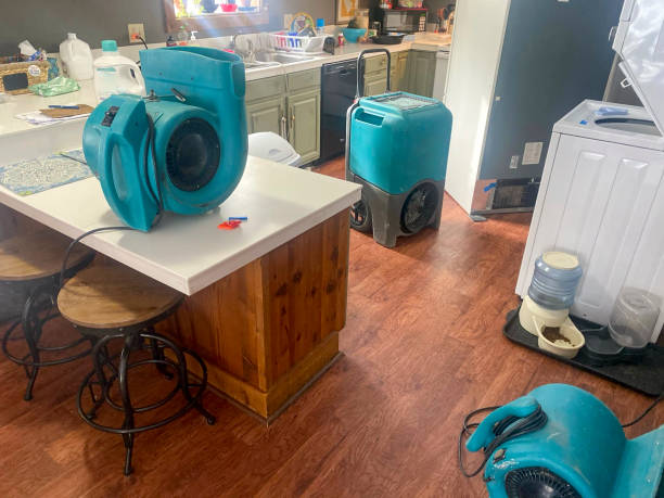Best Mold removal after water damage  in Medina, MN
