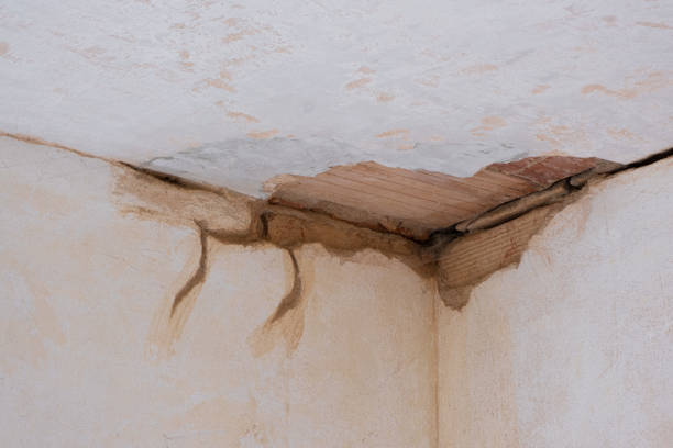 Best Local water damage restoration  in Medina, MN