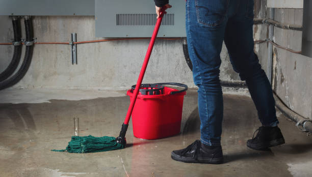 Best 24-hour water damage restoration  in Medina, MN