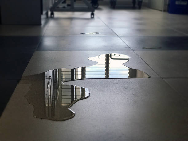 Best Water damage restoration services  in Medina, MN