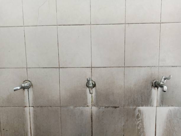 Best Carpet water damage restoration  in Medina, MN