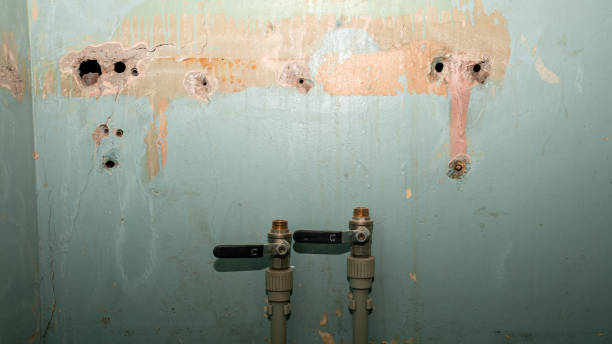 Best Carpet water damage restoration  in Medina, MN