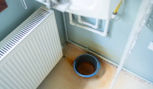 Best Ceiling water damage repair  in Medina, MN