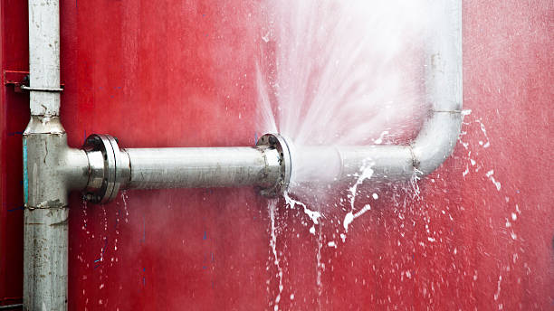 Best Water damage mitigation services  in Medina, MN